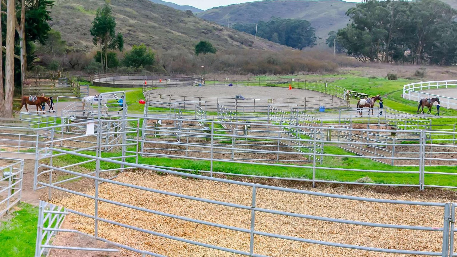 Horses being led through the pens and riding areas, outside of the stables. 