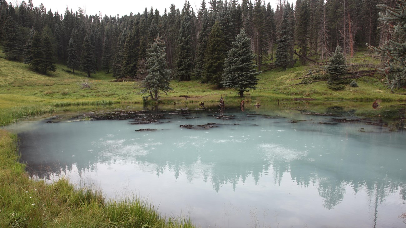 A bright blue geothermal pond surrounded by green grass, wildflowers, and conifer trees.