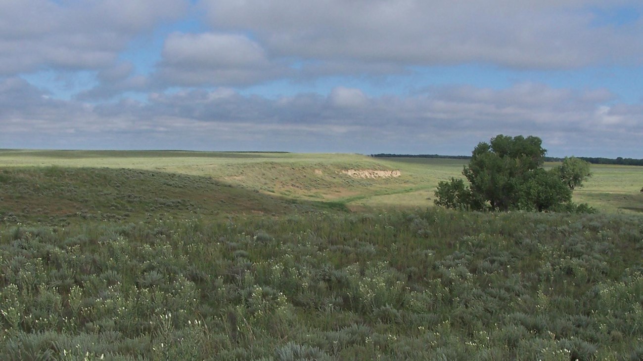 Prairie grasses stretch into the distance along a bluff line overlooking a creek. 