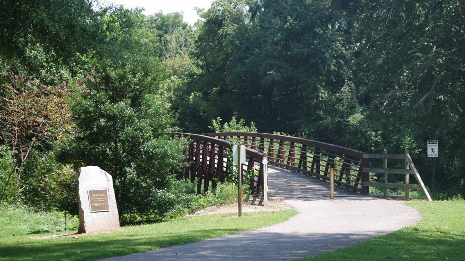 A paved trail winds into a bridge and a shaded forest.