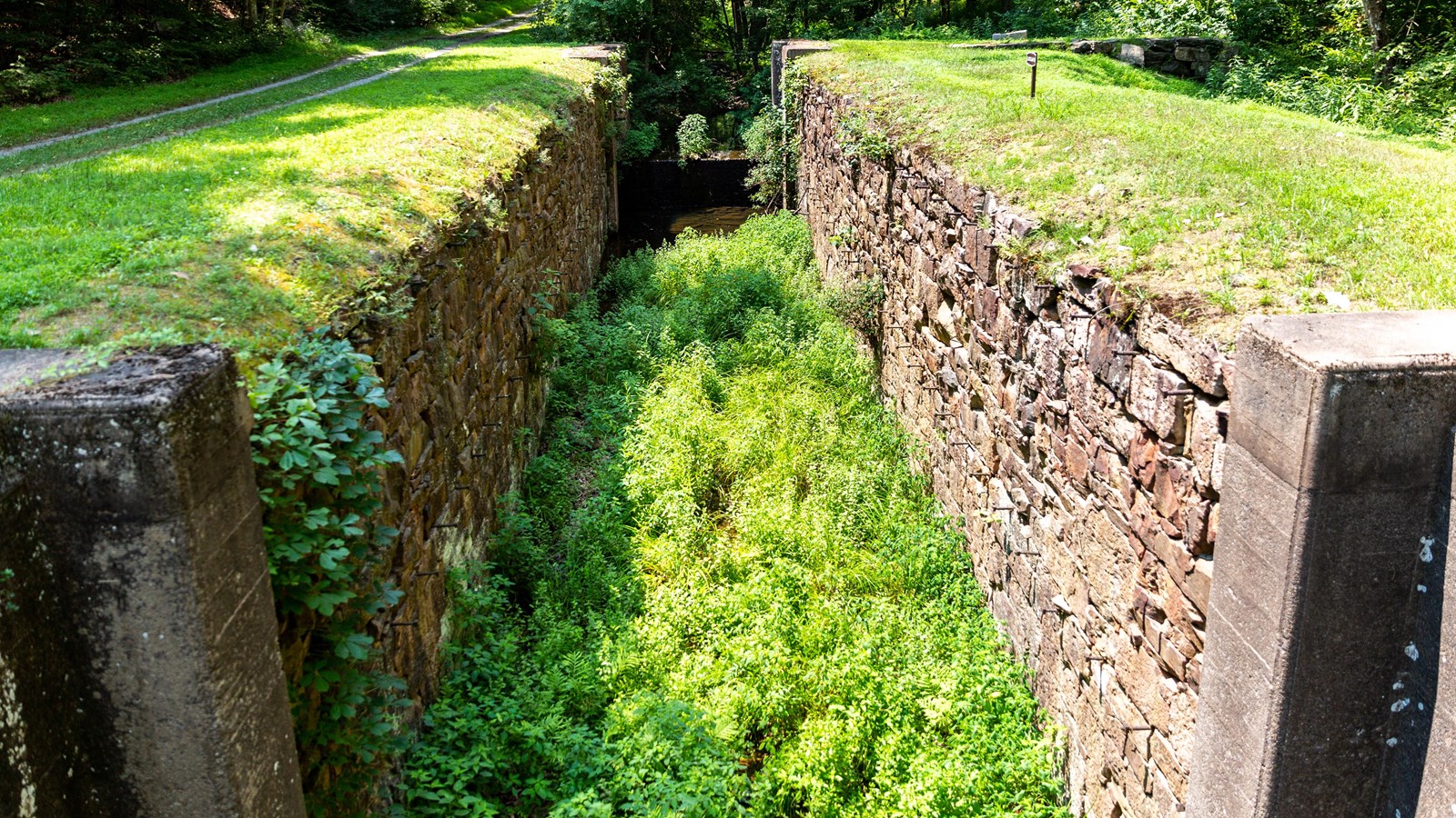 An historic composite lock filled with vegetation