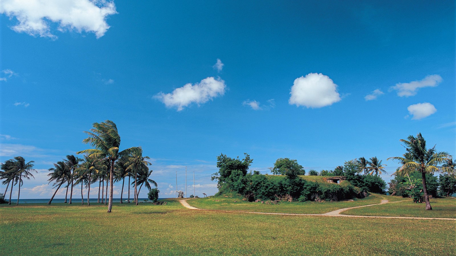 A field next to a beach lined with palm trees. There is a large gun and a bunker built into the hill