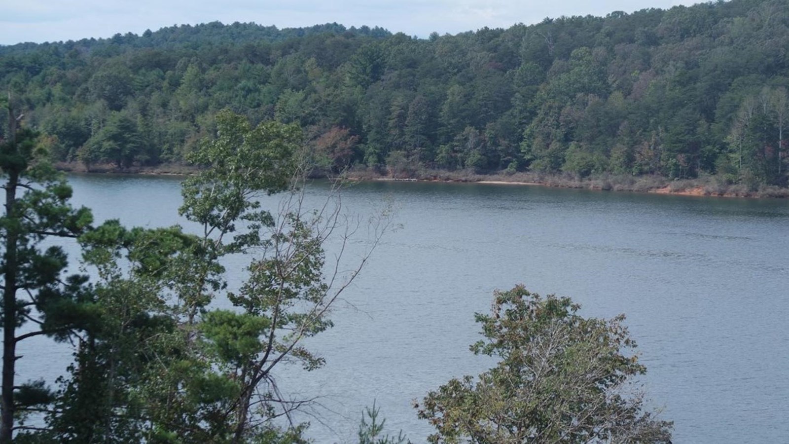 A large body of water with trees on either side. 