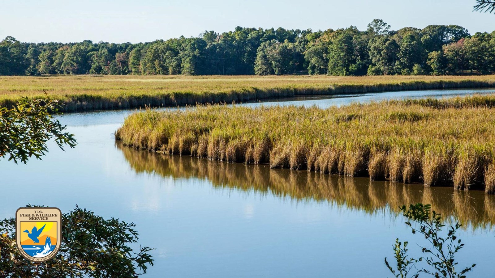 A calm river winding through golden-brown marshlands with trees in the background.