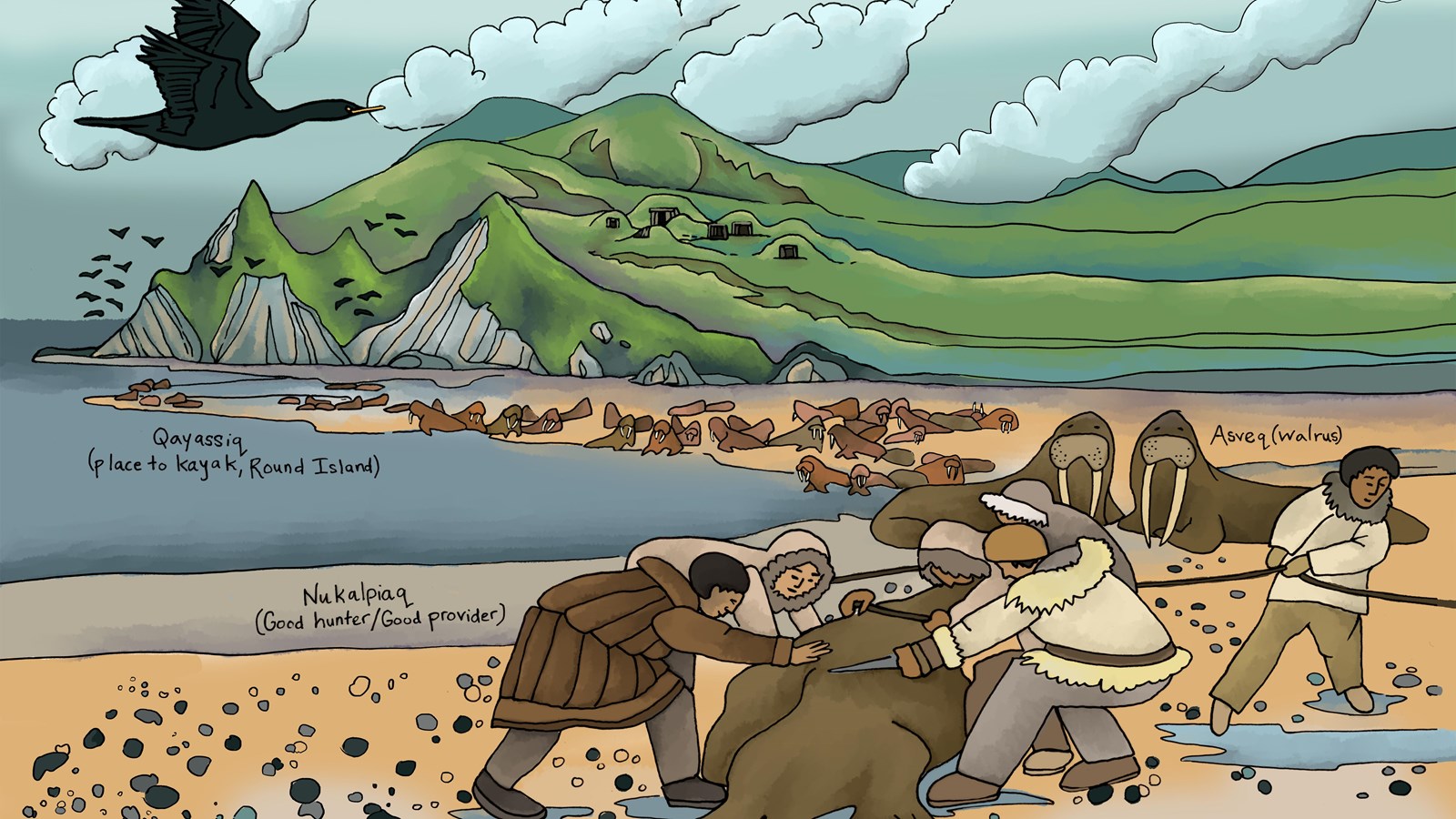 A line drawing showing several Yup’ik hunters harvesting a walrus on a rocky beach.