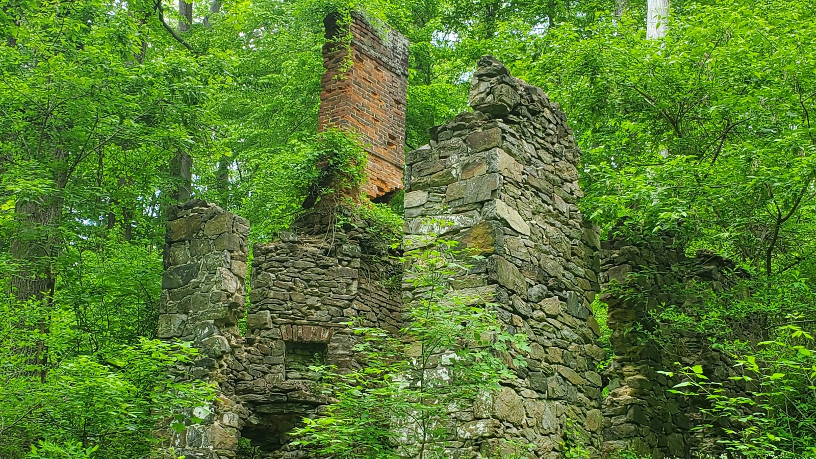 A ruined two story stone and brick house, partially covered and surrounded by green plants. 