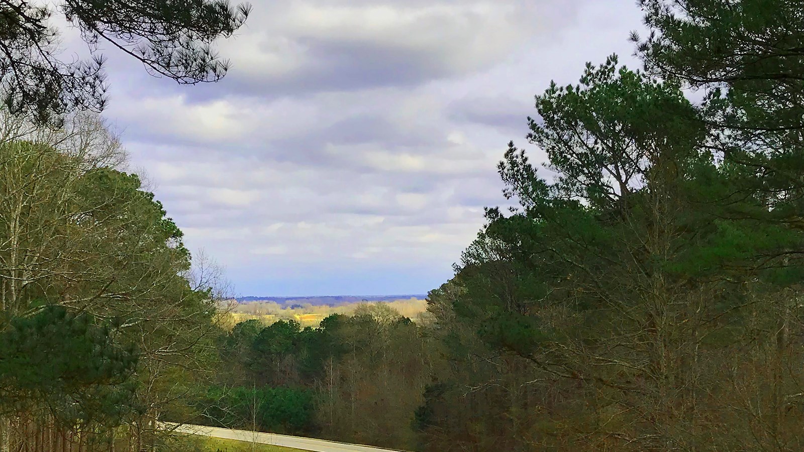 A view of through trees of a farmland valley.