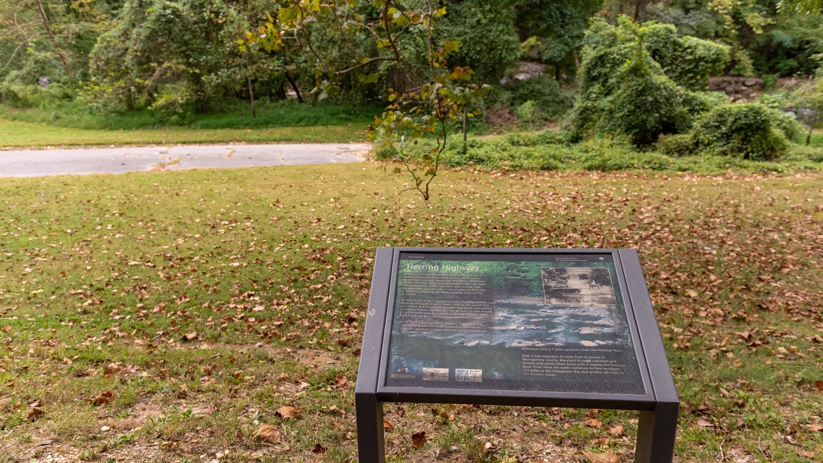 An informational panel in the Herring Highway series