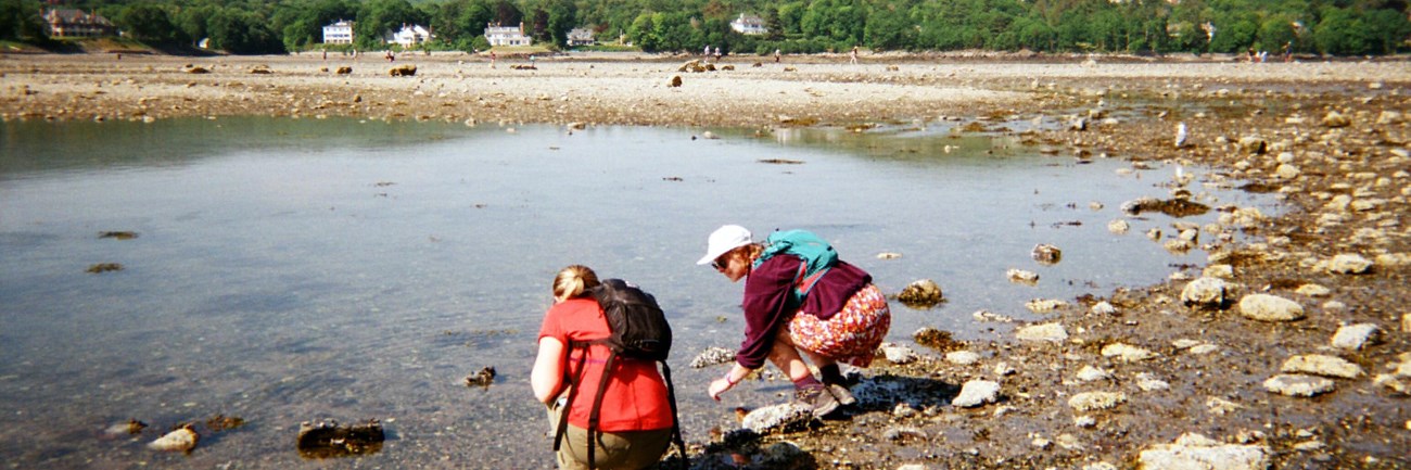 Two people on a sandy gravel area looking at the water