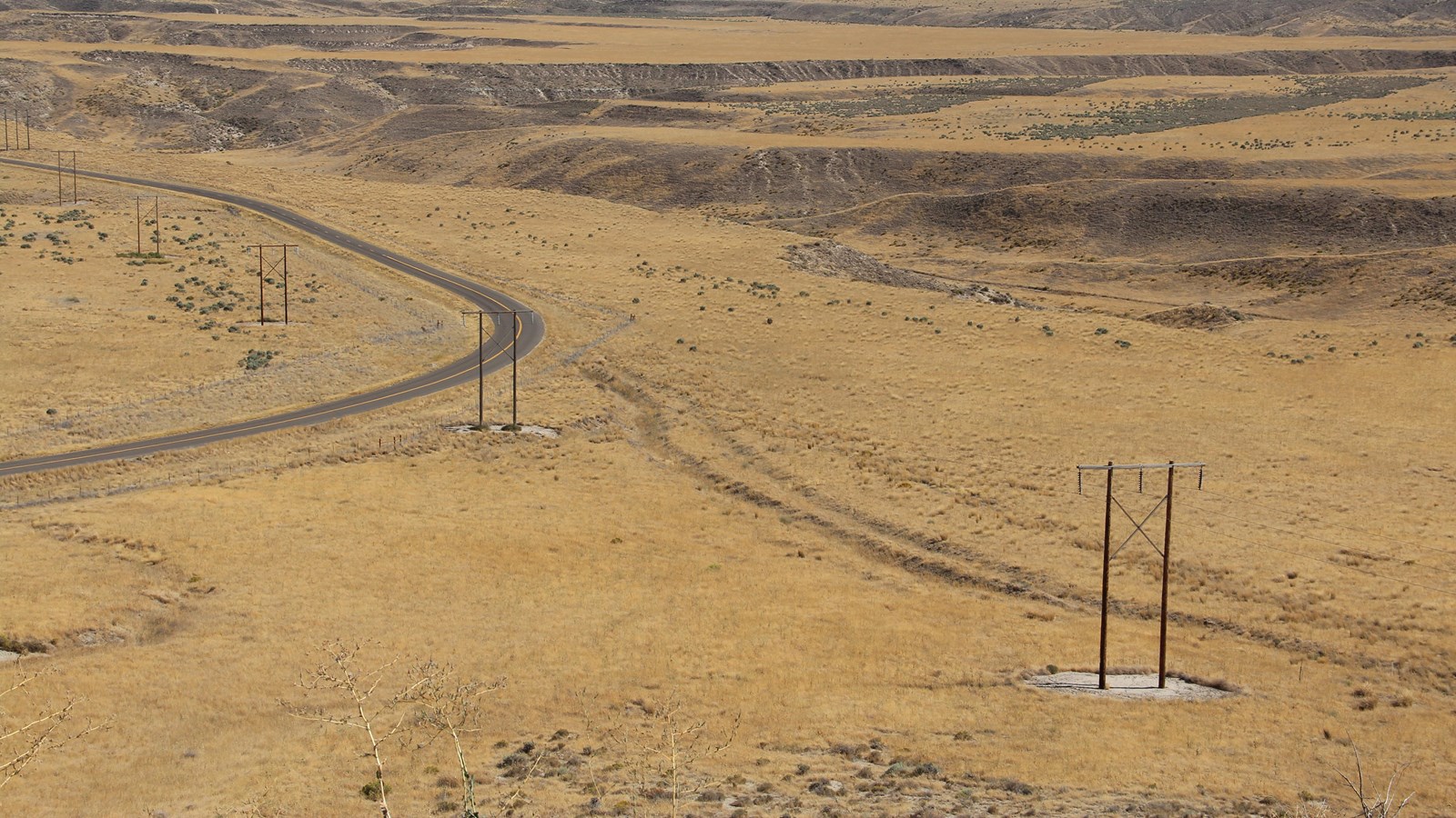 A vast view of Hagerman Fossil Beds with winding road paths and grass.