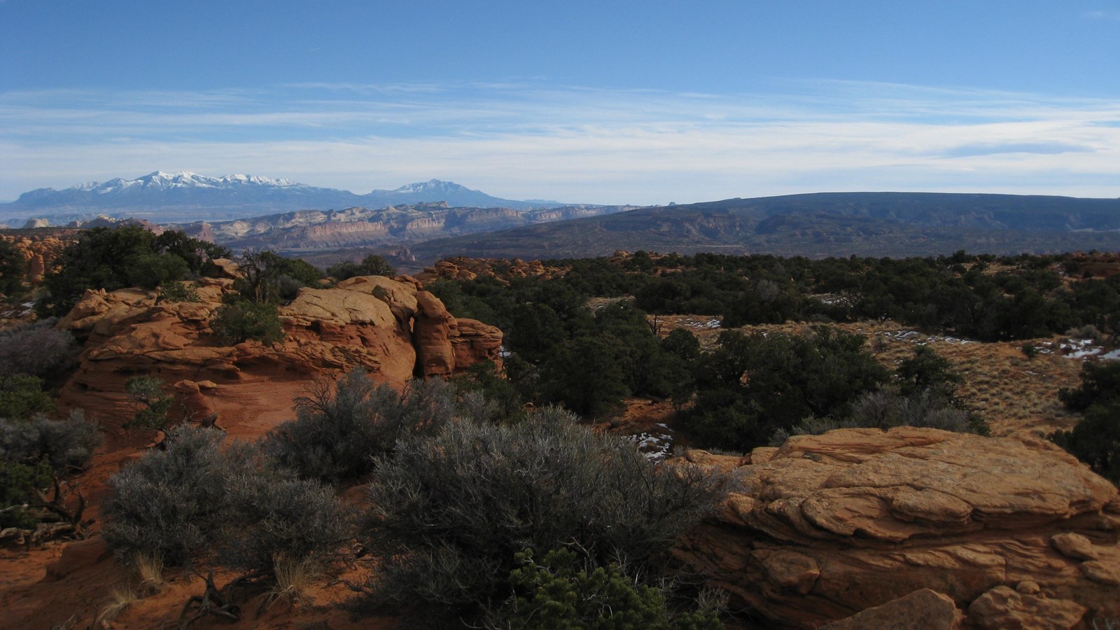 Trees in the foreground roll away toward a swelling plateau, sandstone cliffs, and distant mountains