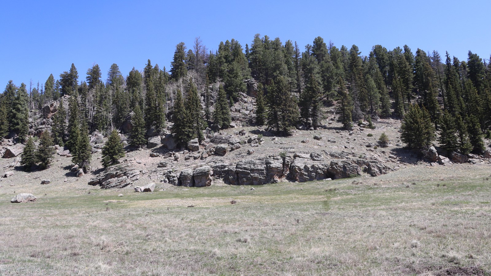 Lava rock at the base of a forested lava dome