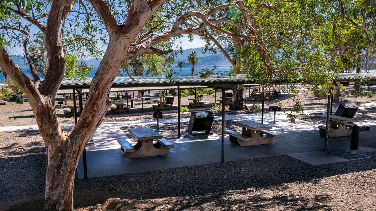 A picnic shelter