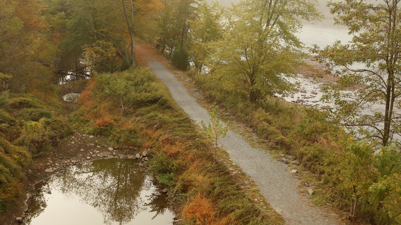 Gravel path flanked by grass, trees. River on 1 side, remains of partially-filled canal on other.