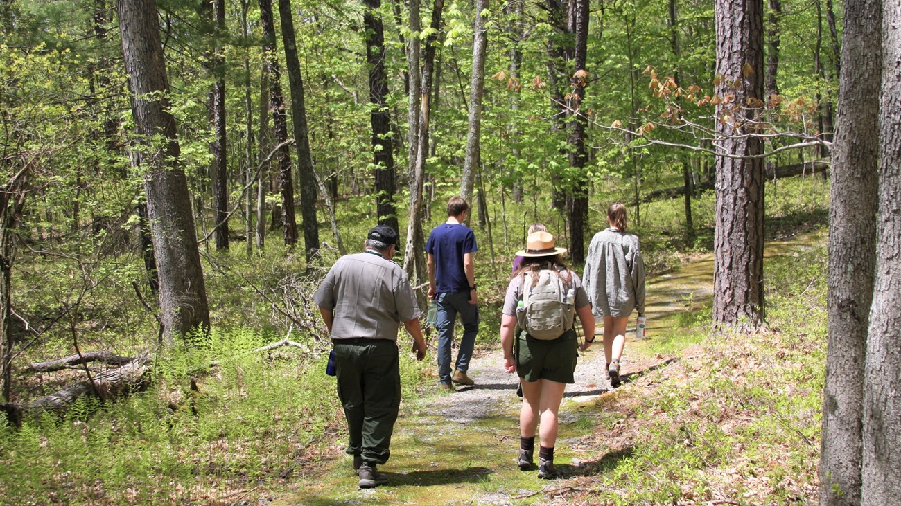 Park rangers and visitors walk on winding mossy trail through forest.