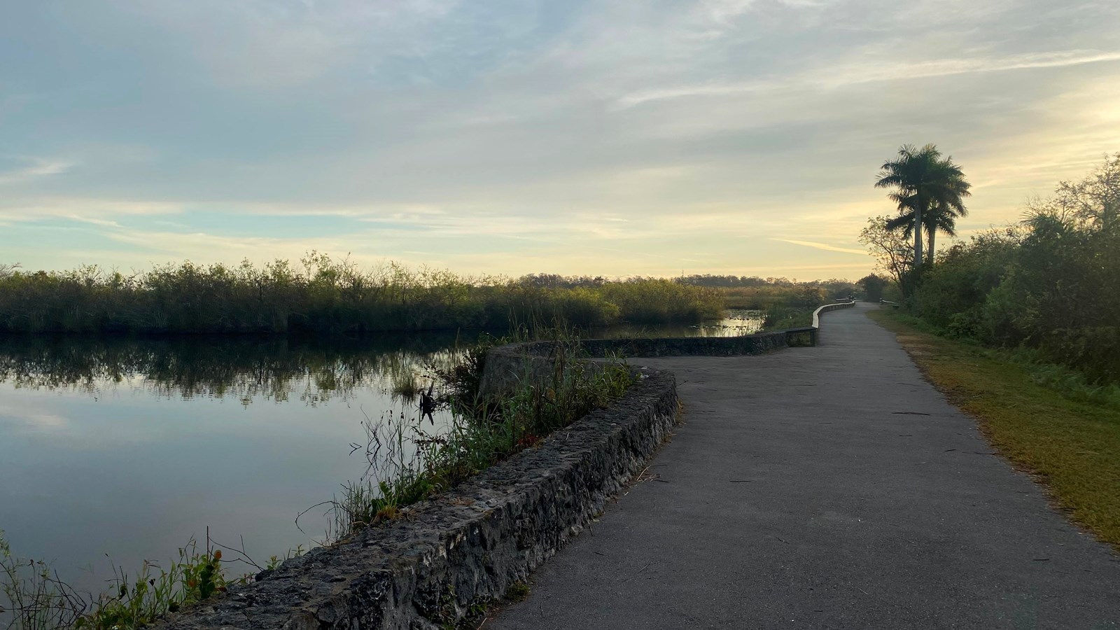 A paved trail adjacent to a lake with still water. A palm tree is silhouetted in the distance