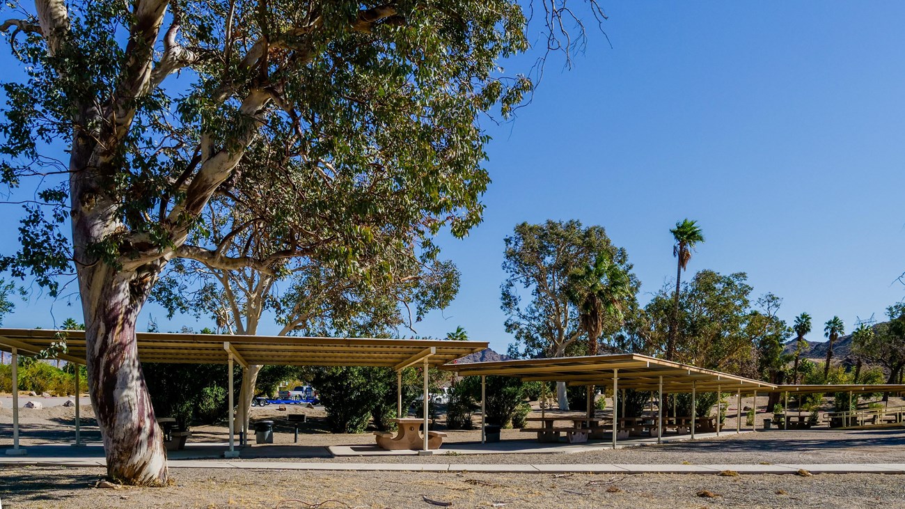 picnic shelter