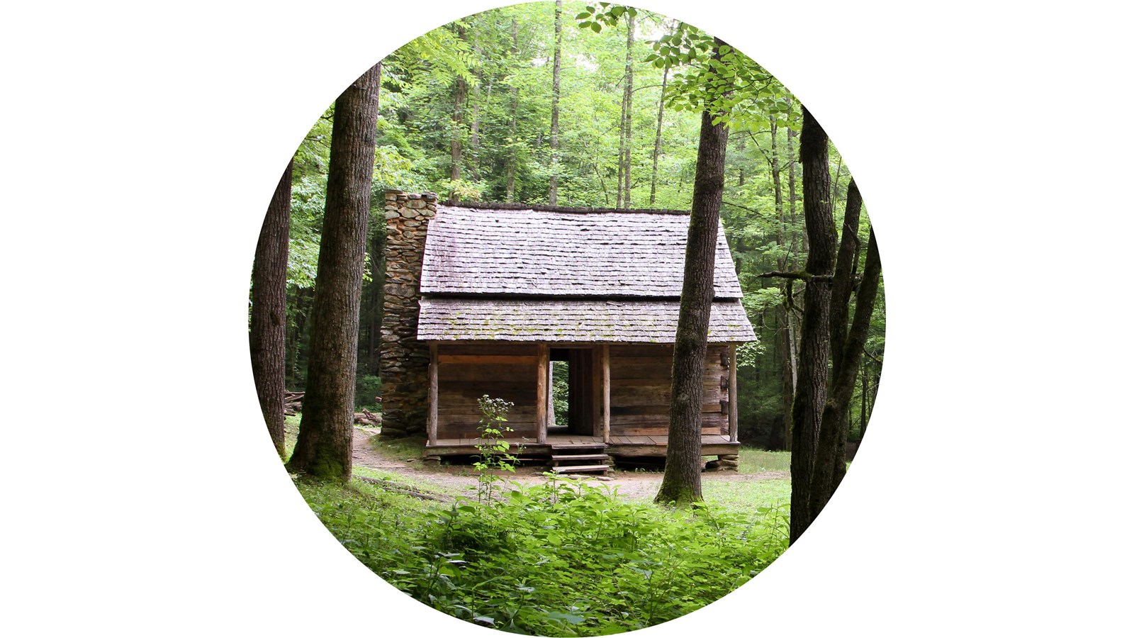 A wooden cabin in the woods. Trees and shrubs in the foreground.