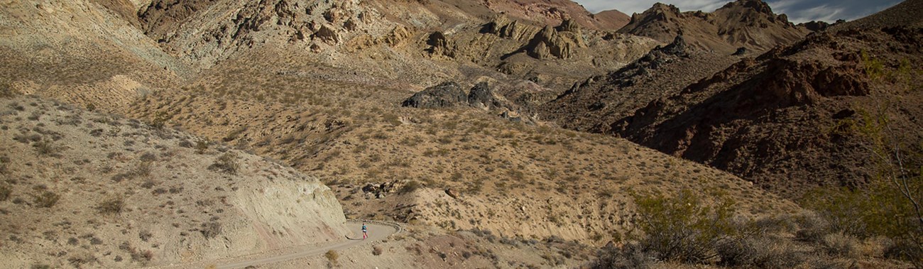 A woman running along a dirt road in a diverse desert setting.