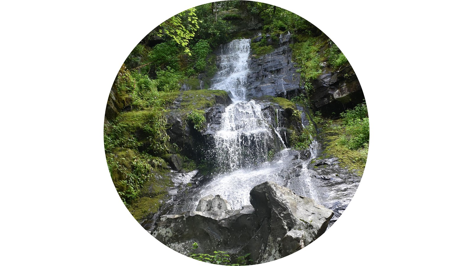 A waterfall trickling down rocks framed by green vegetation.