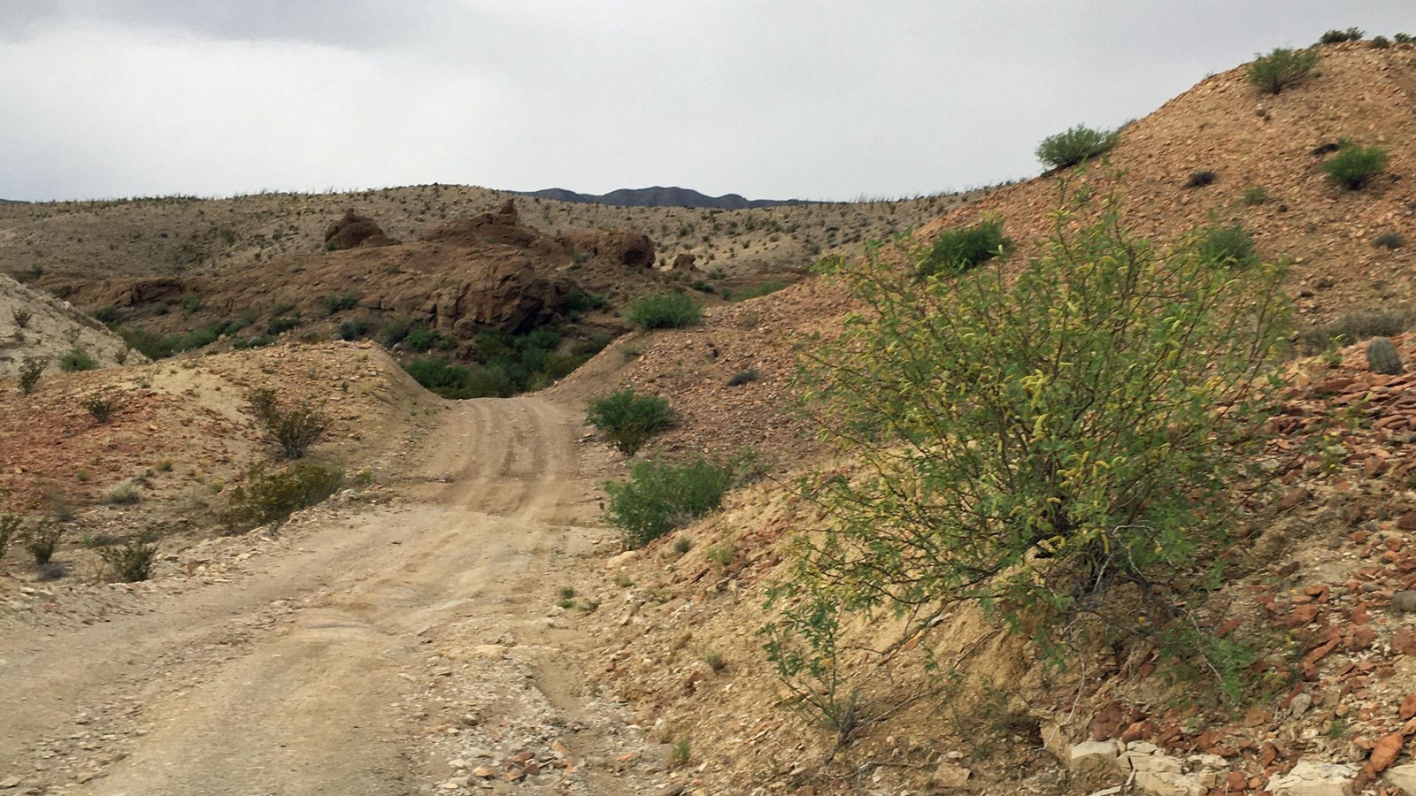 The River Road provides access to rugged backcountry areas.