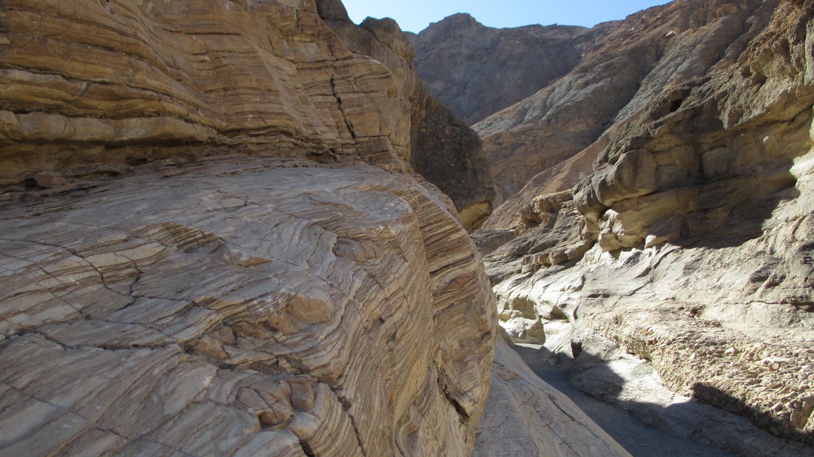 Horizontally striated rock walls rise from the bottom of a sparsely vegetated desert wash.