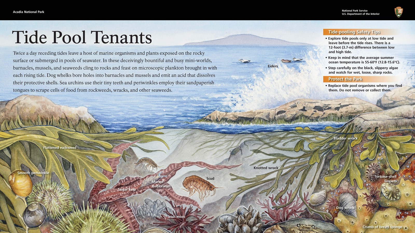 Image of an interpretive wayside entitled, 