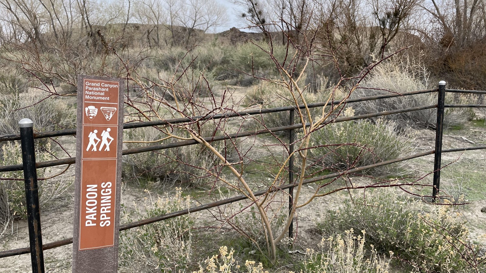 Metal fence surrounds a riparian area. 
