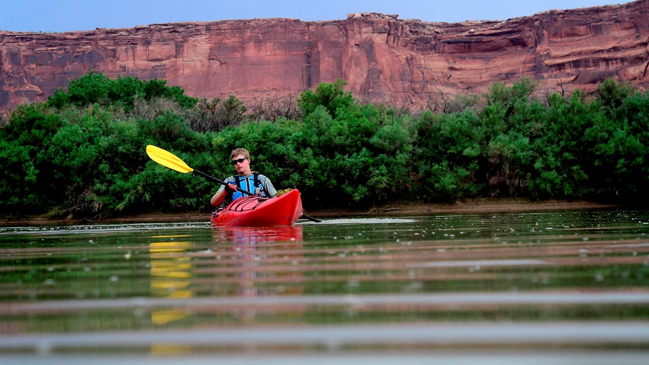A kayaker floats atop still water at the bottom of a lush canyon.