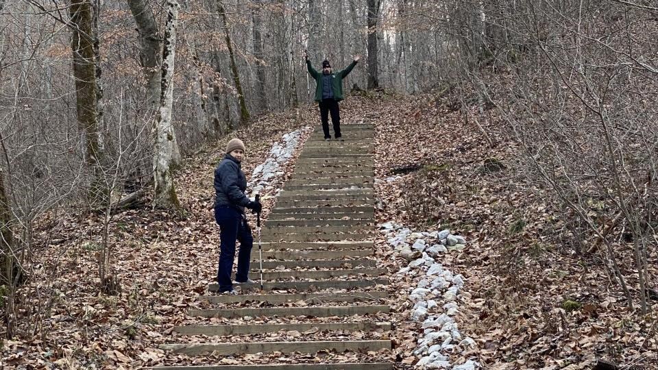 Overlook Trail Stairs - fall time concrete stairs covered in leaves in woods