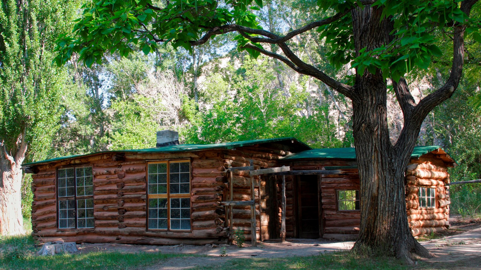 A log cabin sits in the shade underneath tall trees.