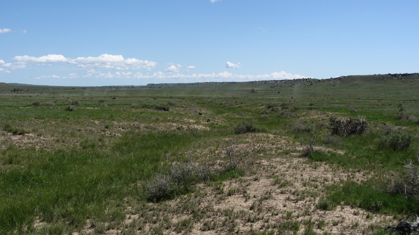 A vast view of a prairie grassland.