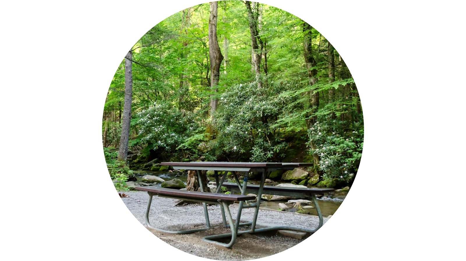 A wooden picnic table with a metal frame sitting on a gravel pad near a grill surrounded by trees.