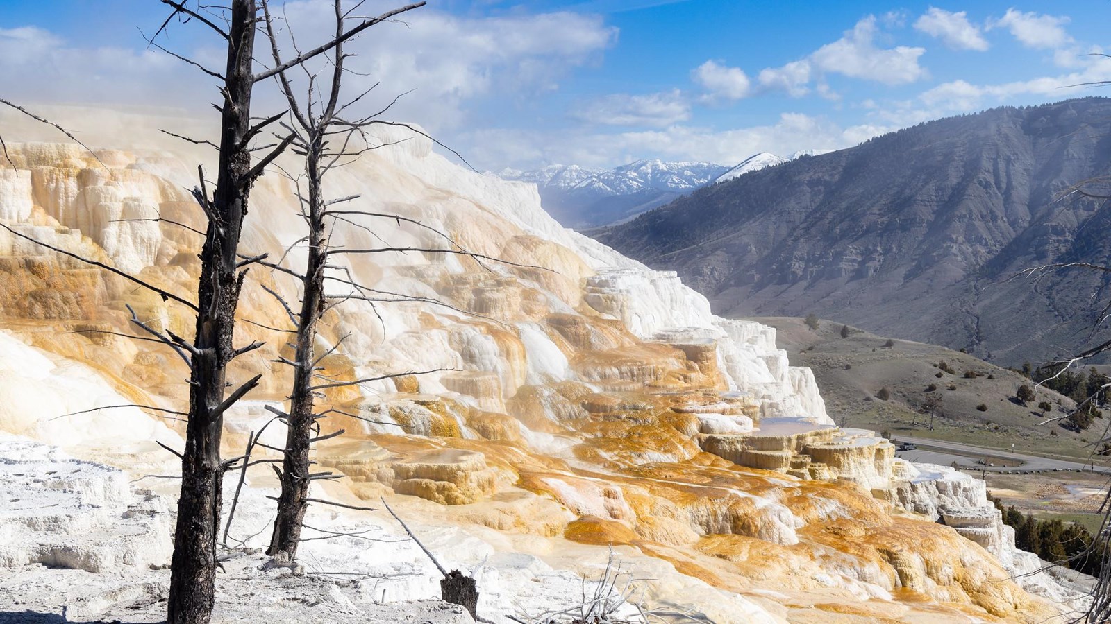 Colorful bacterial mats grow on travertine terrace formations with a mountain in the distance.