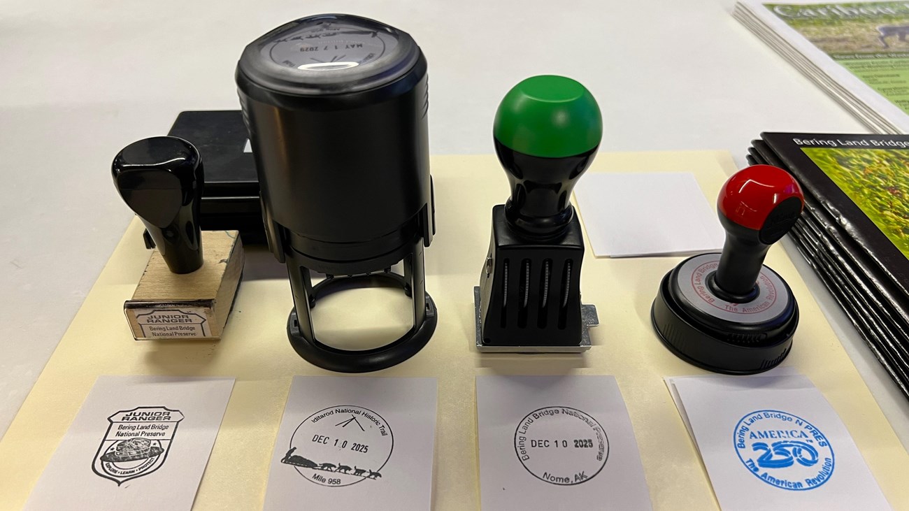 Four rubber stamps lined up with examples on paper squares beneath them.