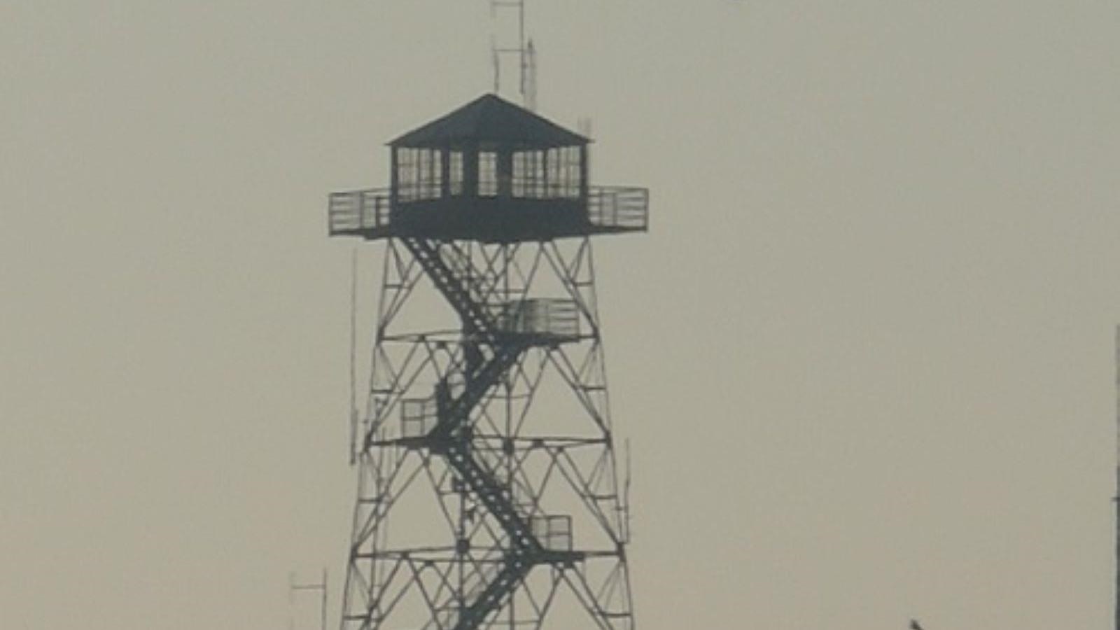 Metal tower structure rises above trees