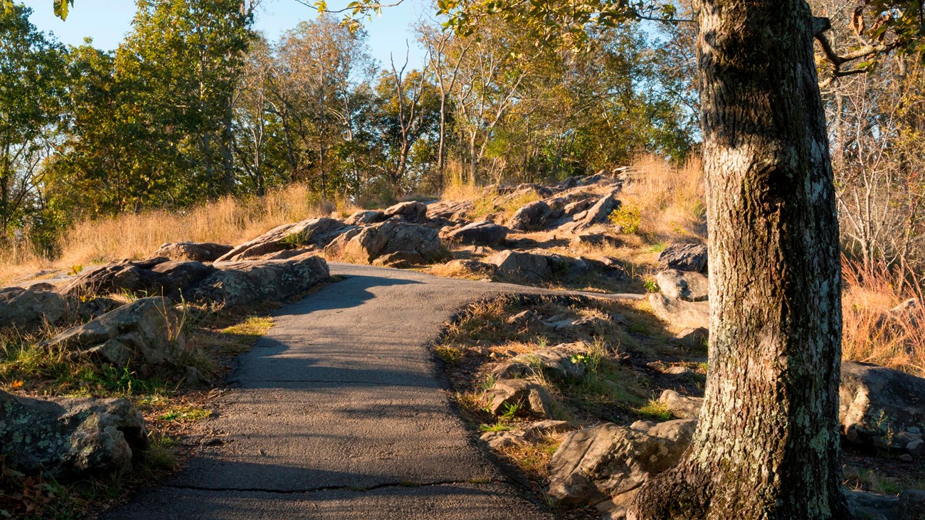 Portion of the trail at the peak of Big Kennesaw Mountain