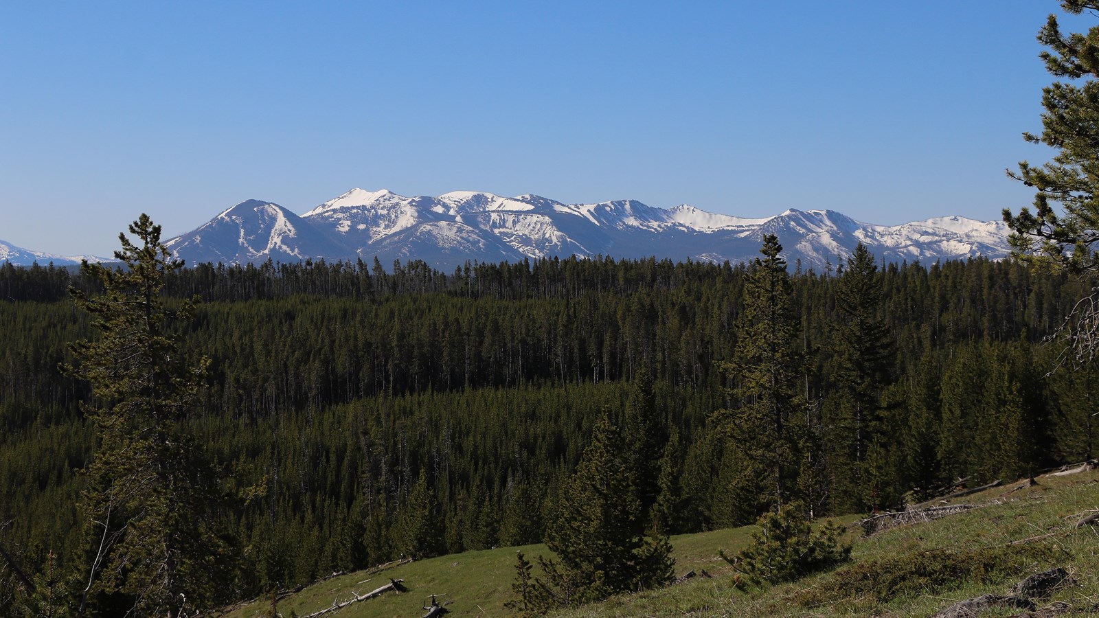 A broad mountain rises above a forested slope.