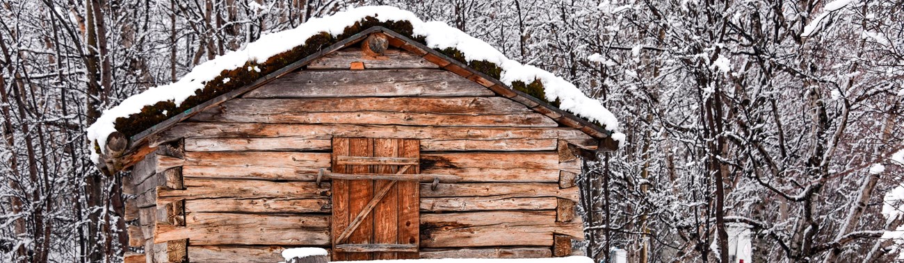 a wooden structure with a small door on stilts in winter