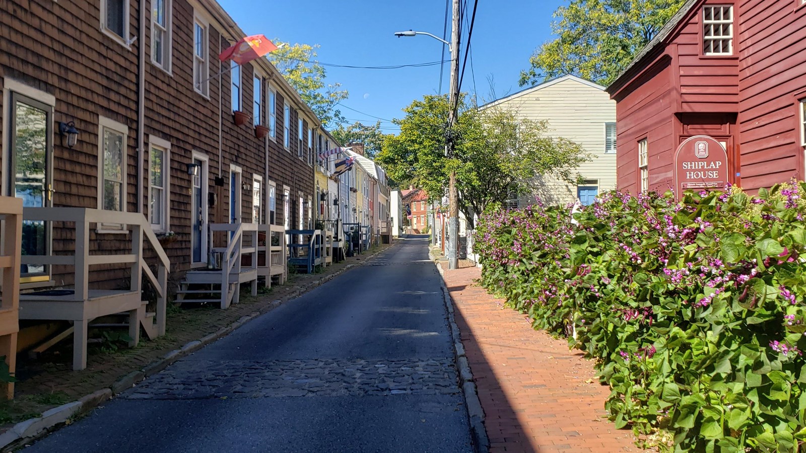 A pavement street with cobblestone inserts is flanked by a red brick sidewalk. 