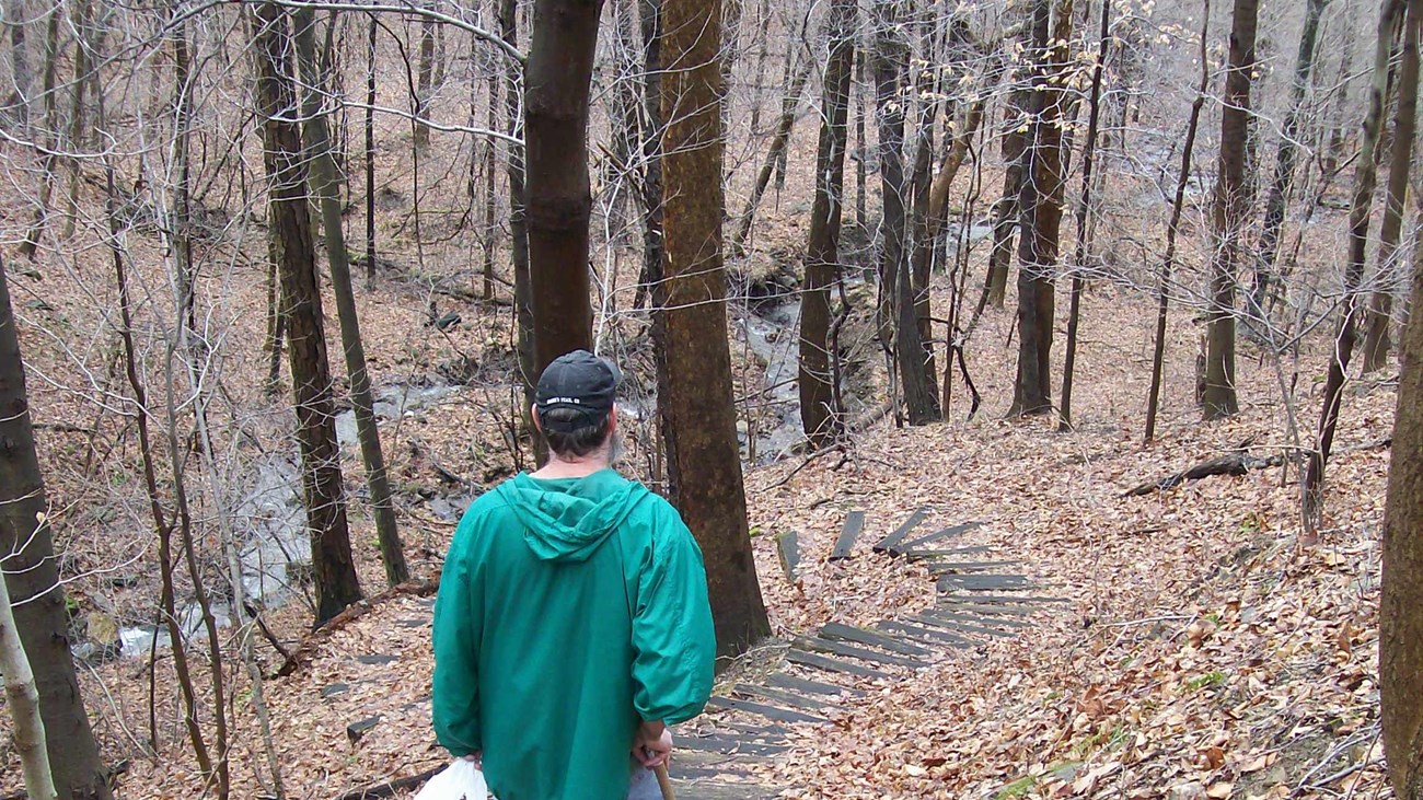 Image of hiker descending steep trail with staircase of wooden ties