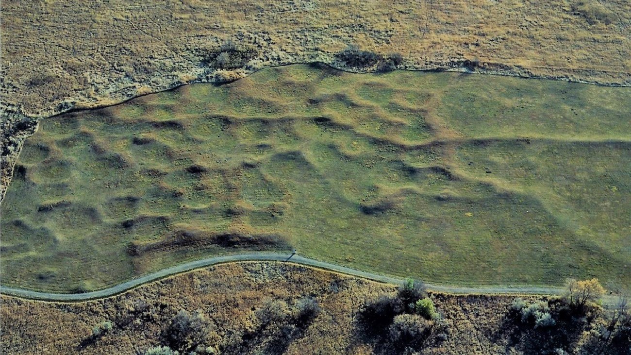 Arial view of earth lodge depressions at a Hidatsa village site.