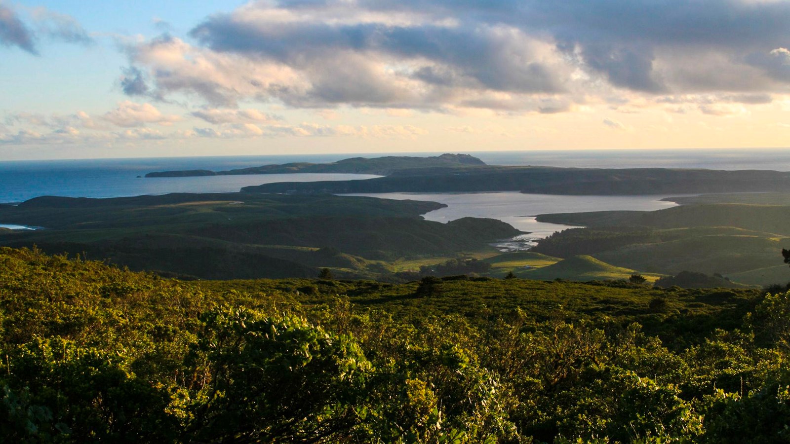 A lush rolling landscape juts out into the Pacific Ocean. A forked bay of water in the distance.