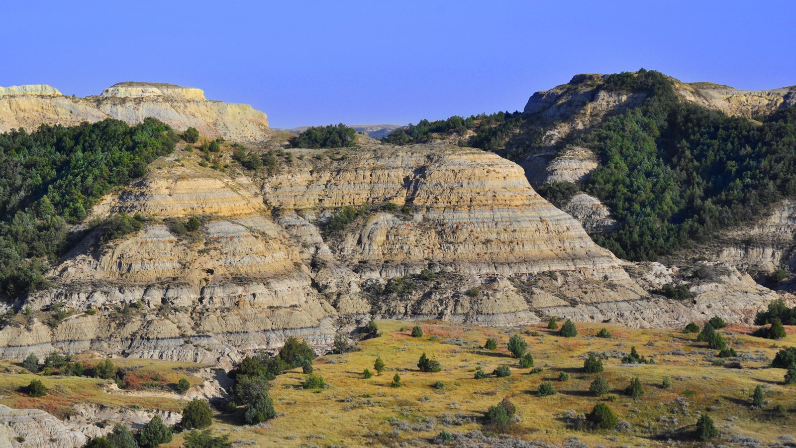 Buttes covered in juniper trees under a blue sky