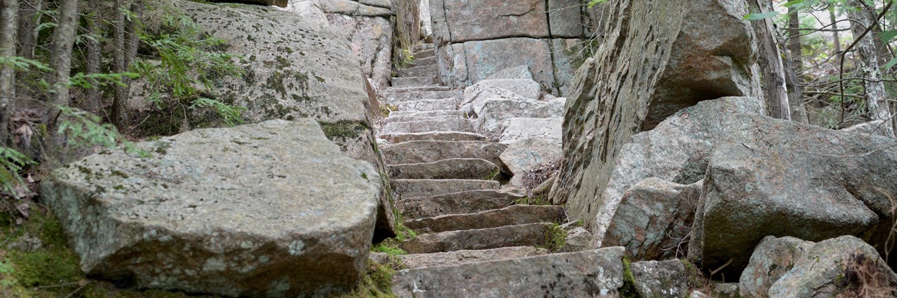 Steps and a passage cut through granite in a forest