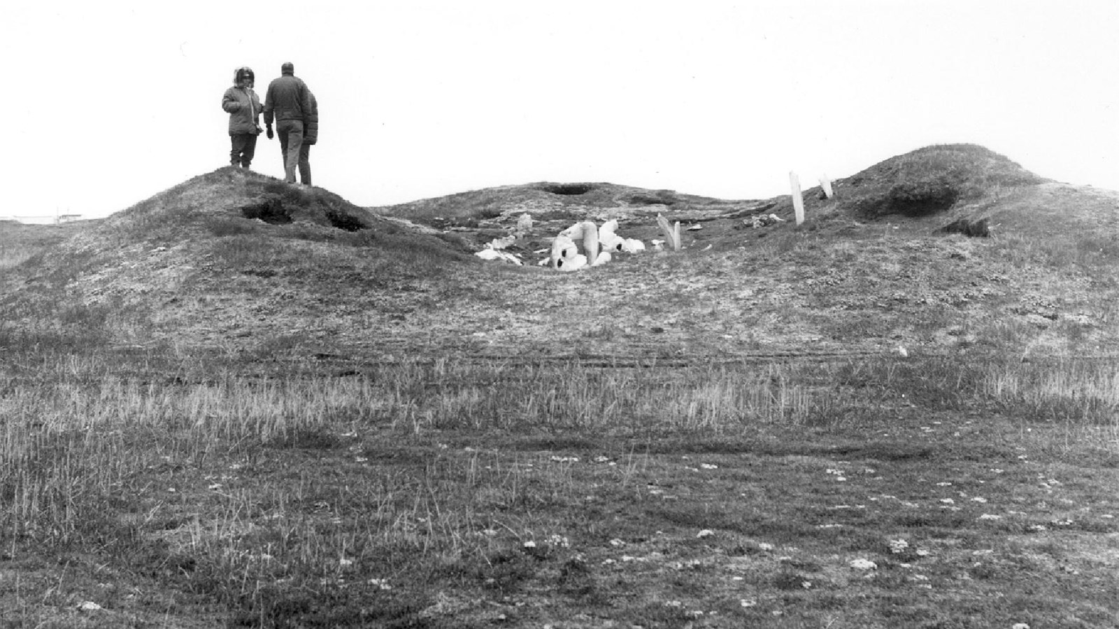A mound site whale bones at its peak and three people standing next to them