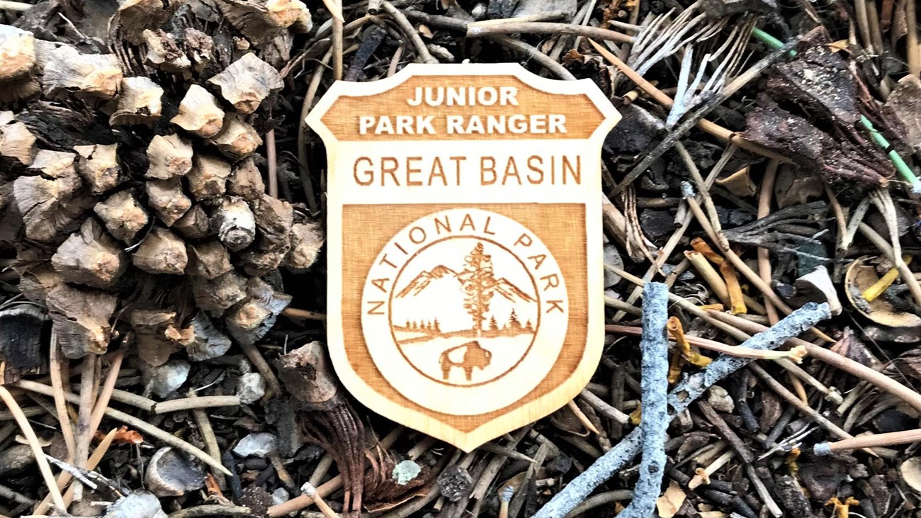 Wooden Junior Ranger badge on pine duff