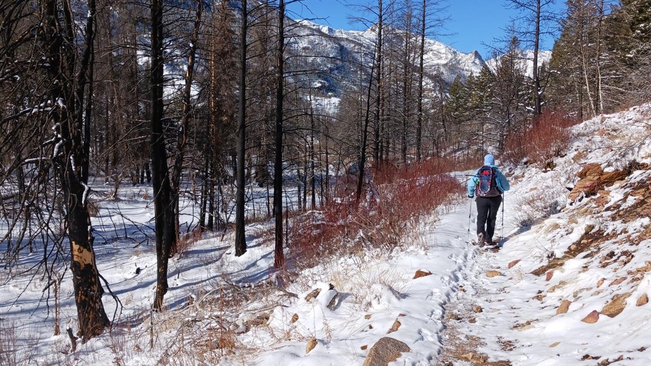 A person is hiking on a snow-covered trail with traction devices
