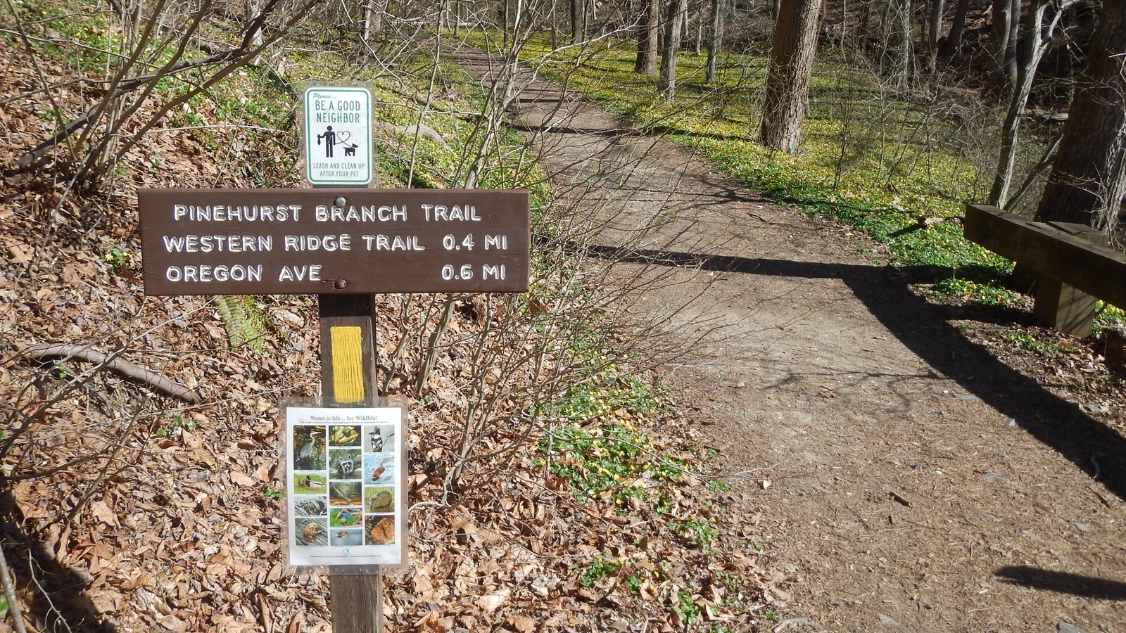 pinehurst mountain bike trail