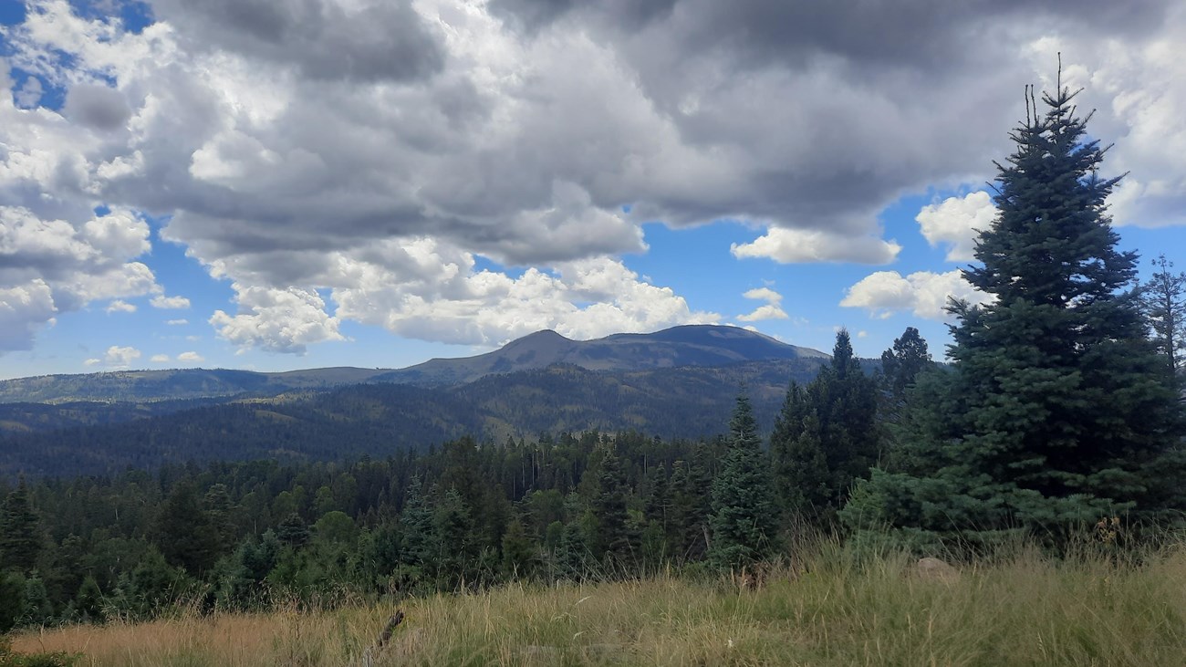 A view of Redondo Peak from the Cerro Seco Loop.